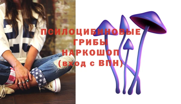 дживик Абаза