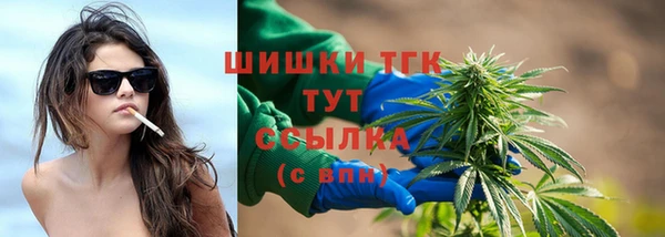 дживик Абаза