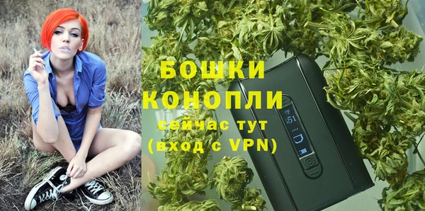 дживик Абаза