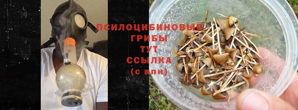 PSILOCYBIN Алексеевка